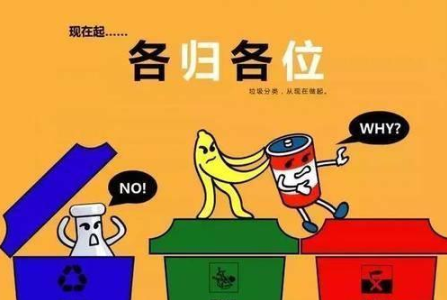小龍蝦的頭，是幹垃圾還是濕垃圾？垃圾分類你搞定了嗎？