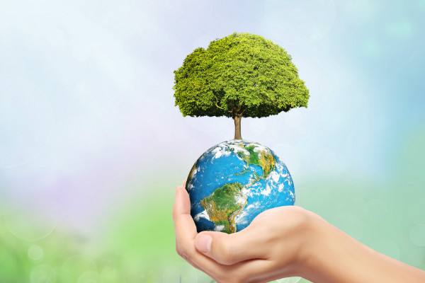 【91免费福利视频生物】垃圾處理器，還你一個綠色的地球