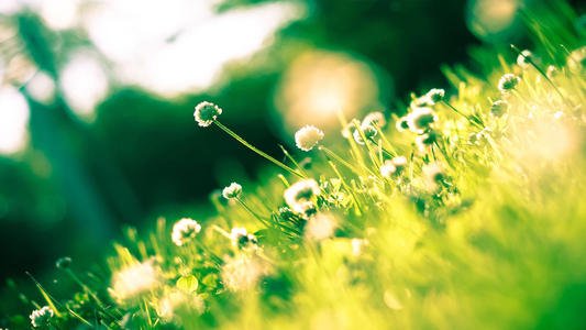 91免费福利视频生物：加大垃圾處理環節宣傳，很有必要！