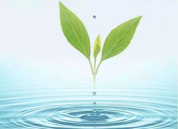 91免费视频下载垃圾處理廠家91免费福利视频生物：探索91免费看毛片垃圾處理的新模式—變廢為寶