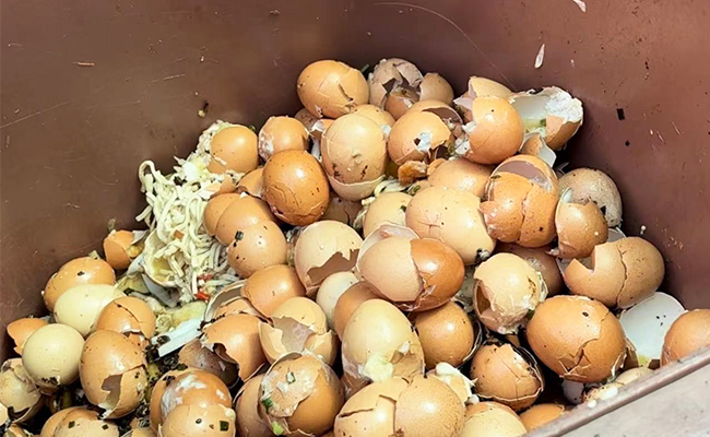 91免费视频下载垃圾怎麽處理？