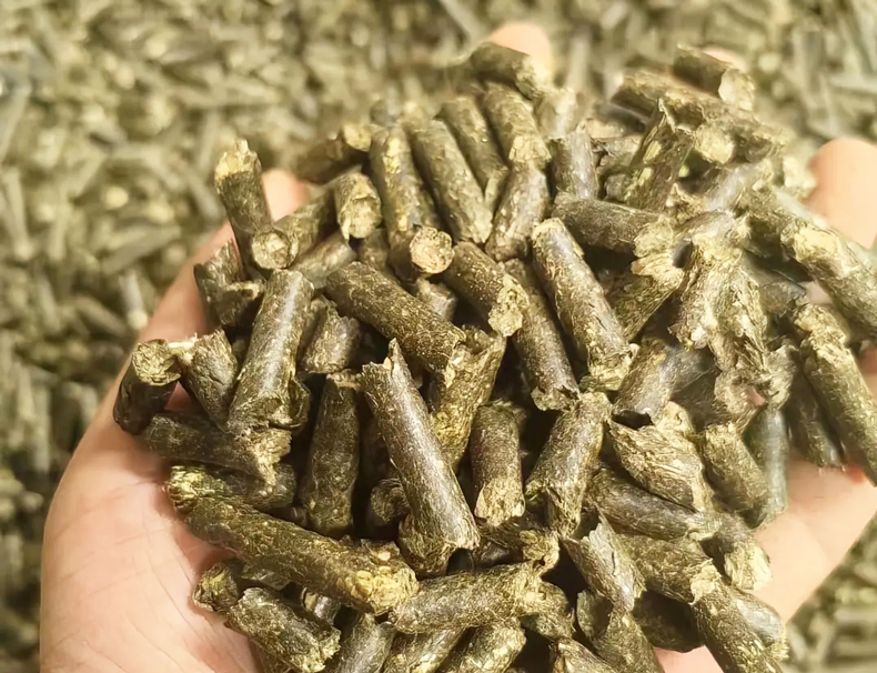 91免费视频下载垃圾飼料化處理技術與流程