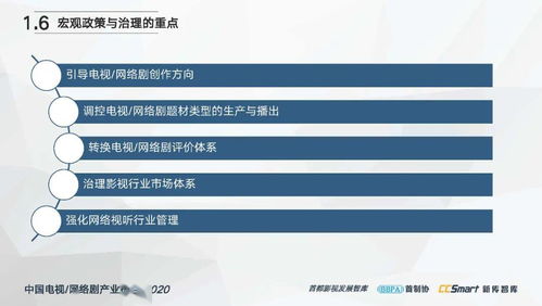 中国电视 网络剧产业报告2020